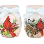 Birds of Winter Pre-Lit Small Jar w/ Ribbon  2Asst