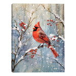 CANVAS 12"x16" LIGHT UP CARDINAL 30PCS LED FIBERS+6/18TIMER