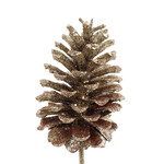 Pinecone -Champagne Glitter Bulk