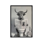 Highland Cow Reading Newspaper