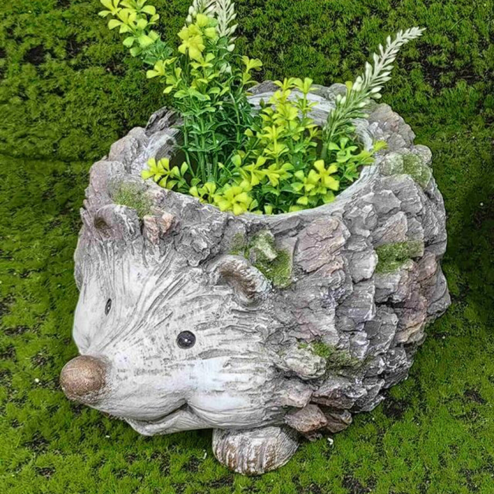 Hedgehog Planter