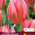 Van Noort Tulip Pretty Princess 6/Pkg