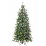 7.5' Alpine Radiance  Norfolk Pine Tree Starlite CTE  #427
