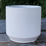 Matte White Ribbed Container (FITS 4" POT)