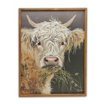 Highland Cow Canvas
