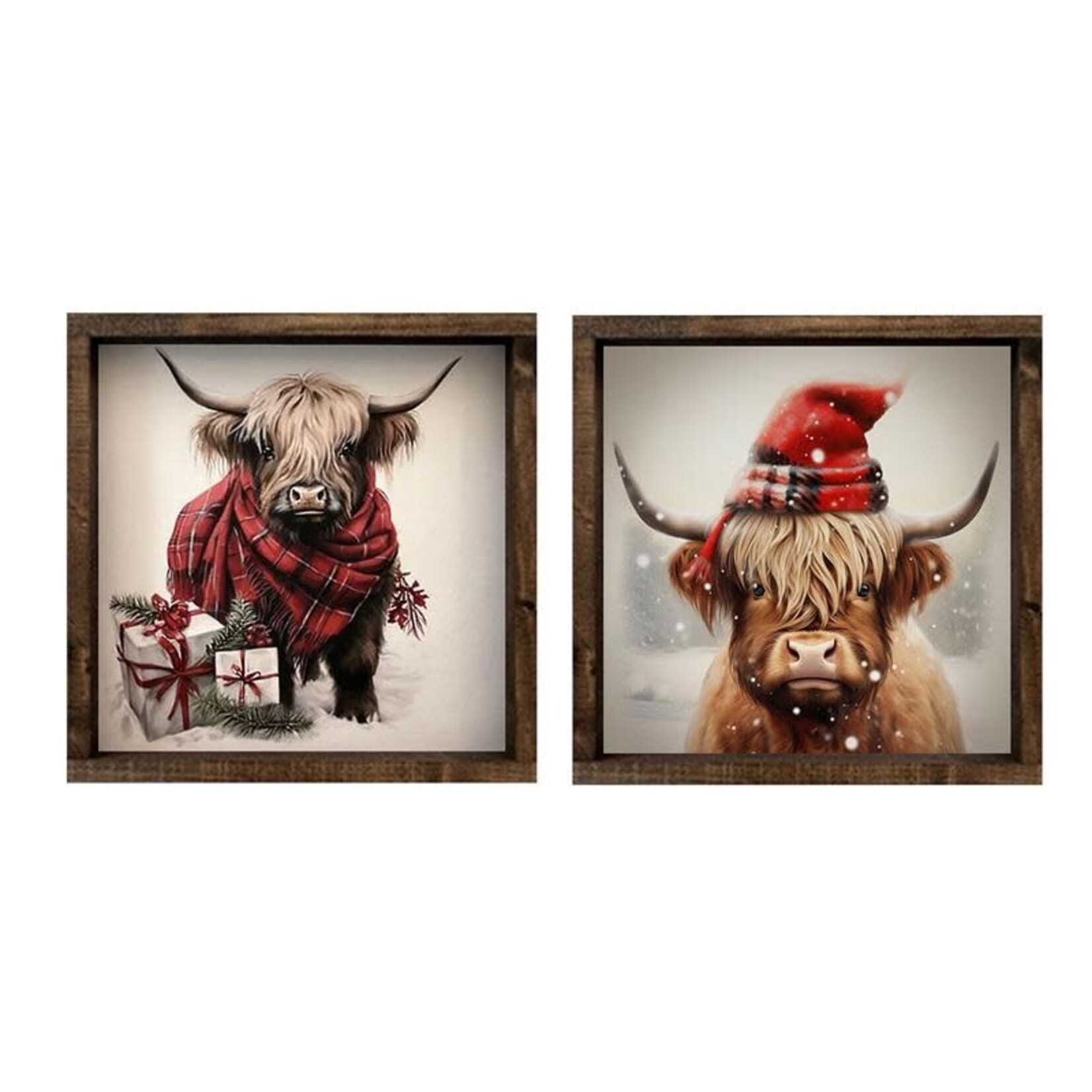 Christmas Highland Cows Signs - 2 Asst