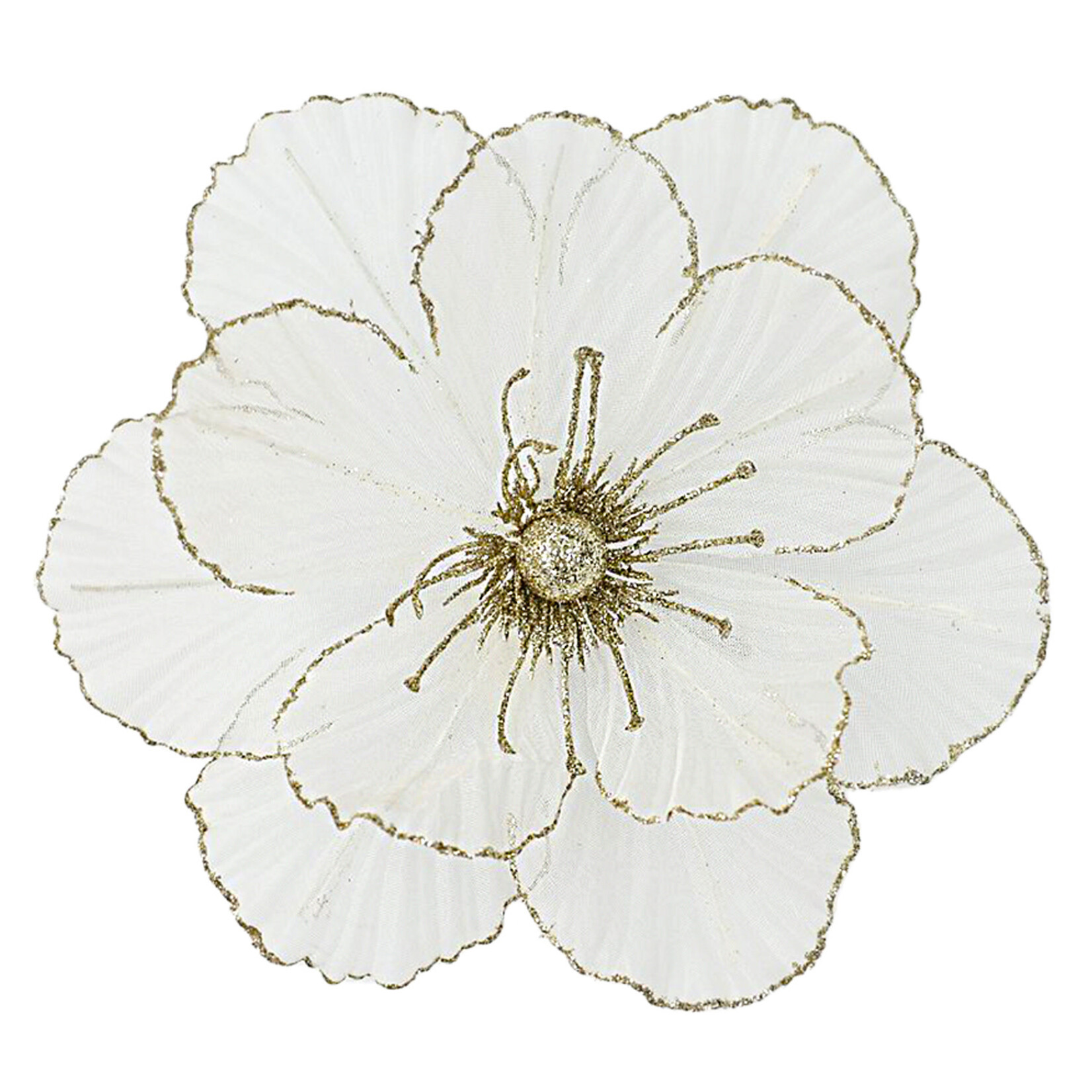 Magnolia White /Champagne 10.5" Sheer W/ CLIP