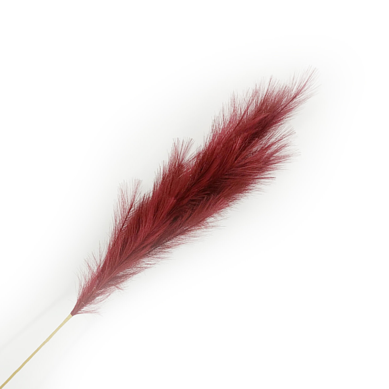 Pampas Grass 43" Burgundy