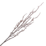 34" Natural/Frosted Twigs Pick
