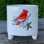 Cardinal Design /Footed  (FITS 4" POT)