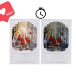 LED Timer/ Water Spinning Book w/Cardinals