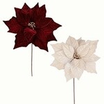 Poinsettia w/Golden Glitter - 2 Asst. BURGUNDY/BEIGE