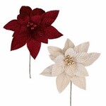 Poinsettia Pick 2 Asst.  BURGUNDY, IVORY