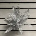 16" Silver Glitter Lace Fern Bush