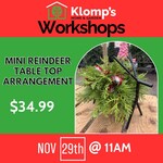 November 29th, 2025 | 11am | Saturday | Mini Reindeer Table Top Arrangement Workshop