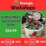 November 30th, 2025 | 2pm | Sunday | Christmas Succulent Dish Workshop