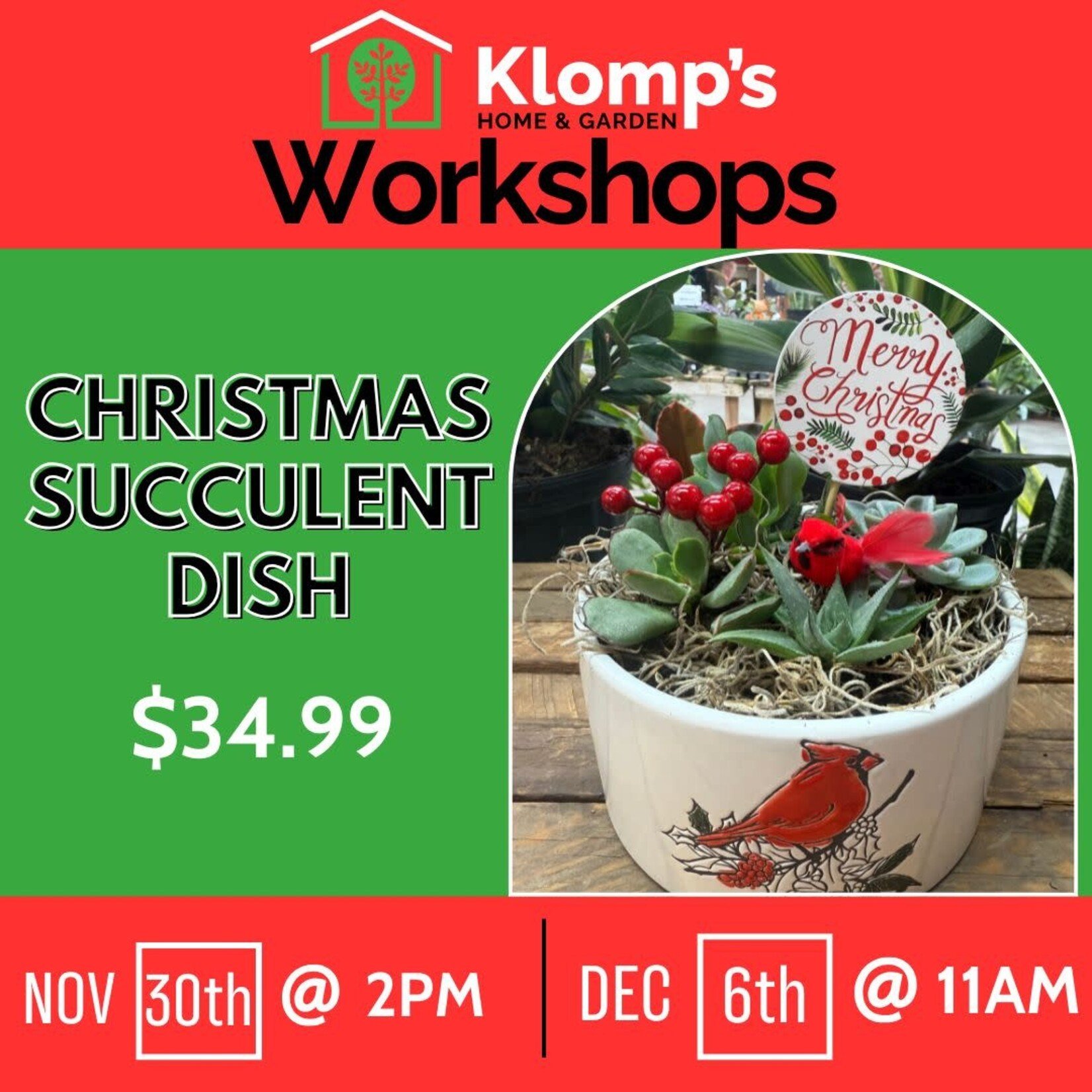 December 6th, 2025 | 11am | Saturday | Christmas Succulent Dish Workshop