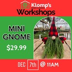December 7th, 2025 | 11am | Sunday | Mini Gnome Workshop