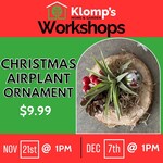 December 7th, 2025 | 1pm | Sunday | Christmas Airplant Ornament Workshop