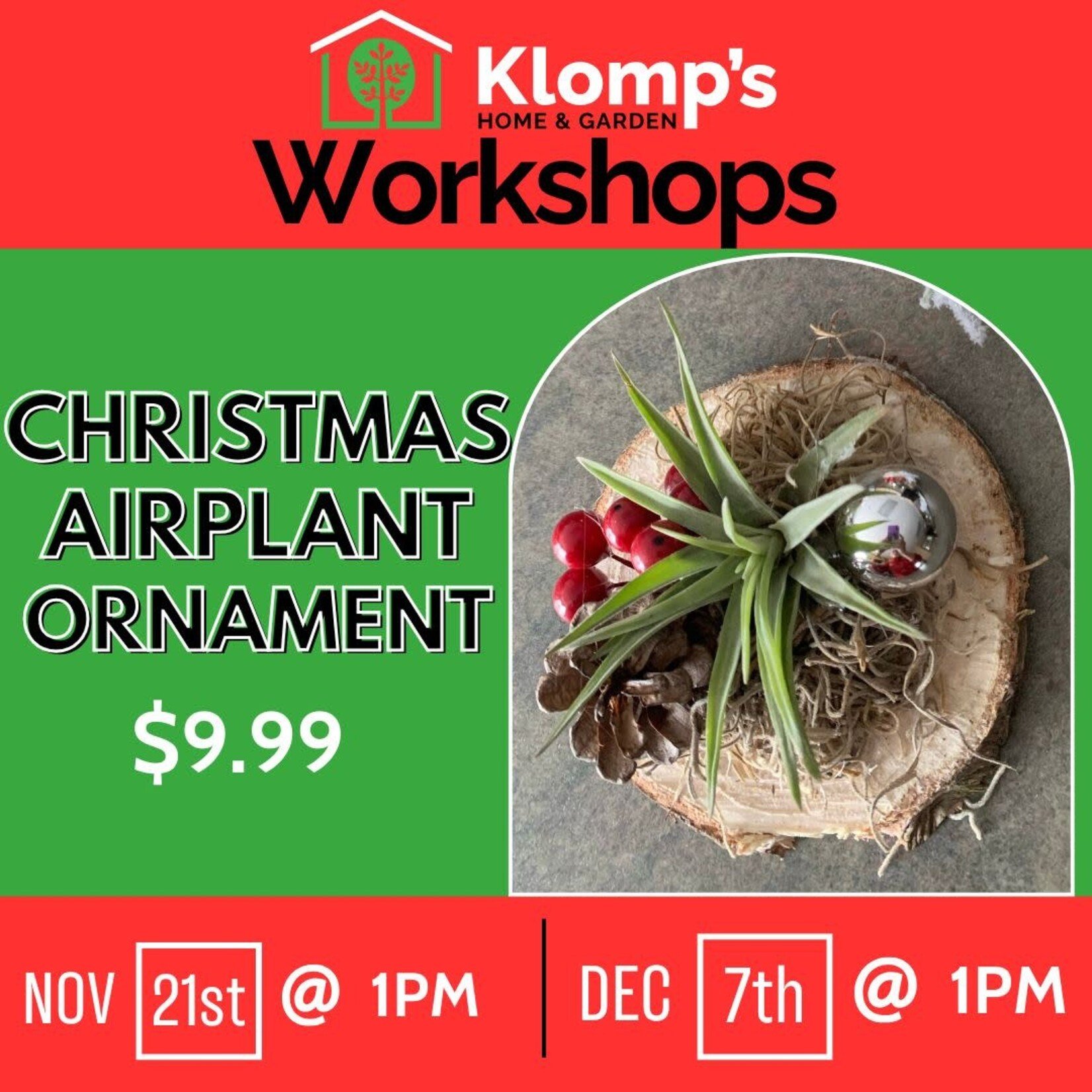 December 7th, 2025 | 1pm | Sunday | Christmas Airplant Ornament Workshop
