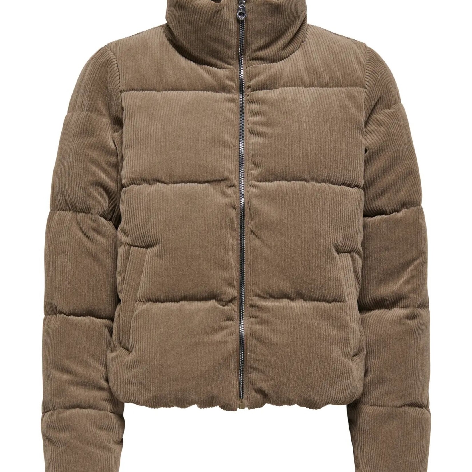ONLY ONLNEWDOLLY CORDUROY Puffer Coat - Cub Big - Med., Large