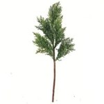 24" Natural Touch Emerald Juniper Cedar Pick