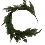 6' Norfolk Pine Garland w/Tubing