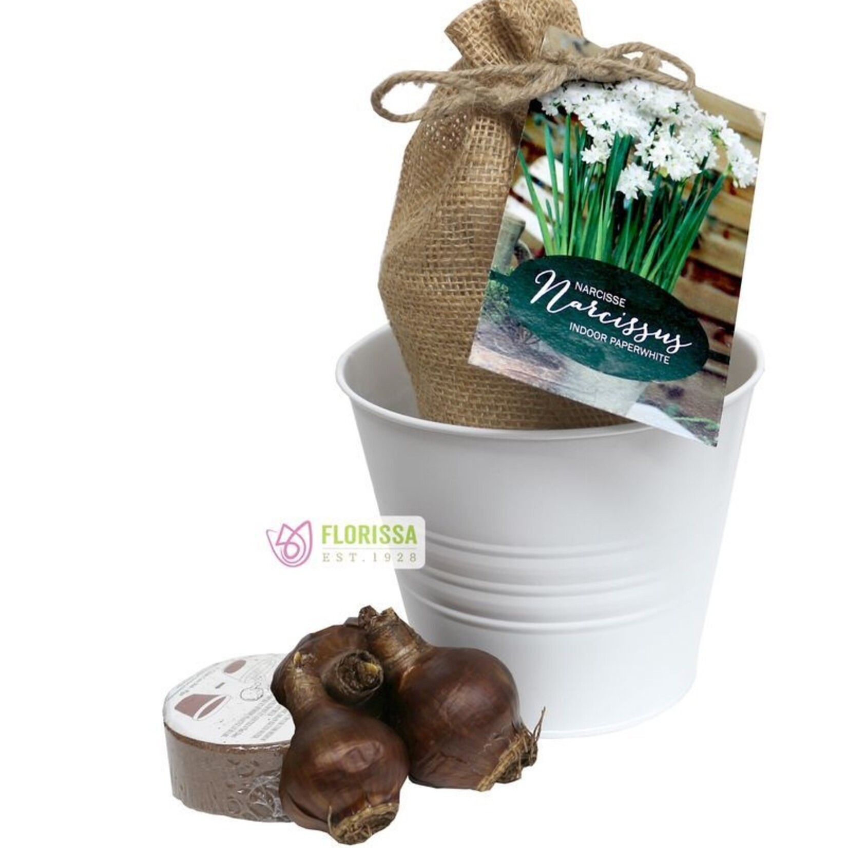 Van Noort GP6- 1 Kit Natures Bloom PAPERWHITE