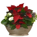 Christmas Large Oval Planter