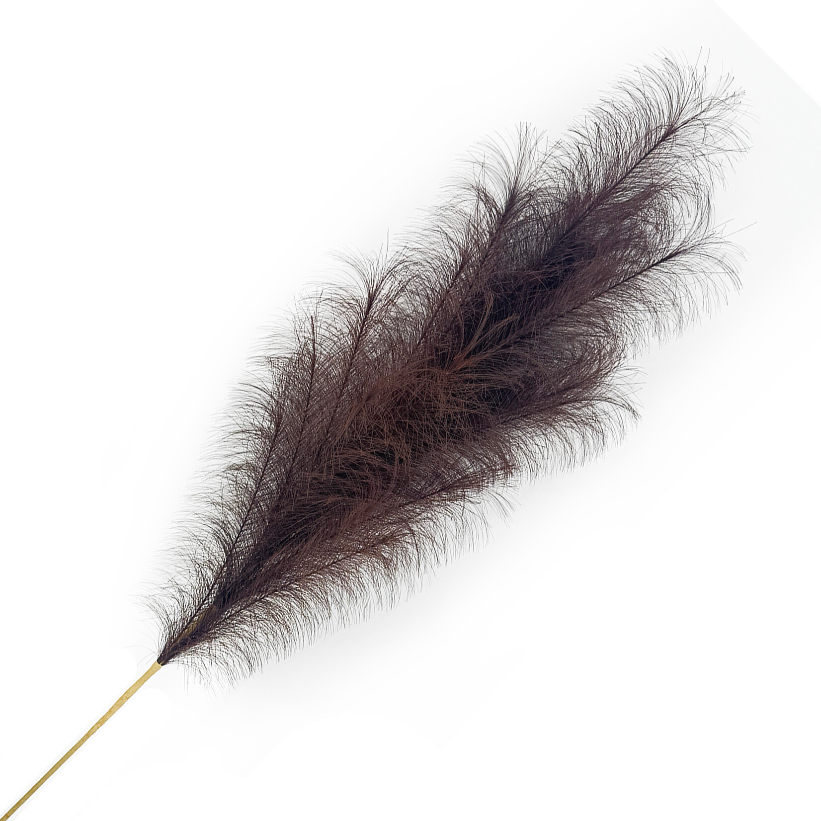 43" Pampas Grass Chocolate colour Pick