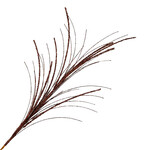 SPRAY FEATHER GRASS COPPER 26" GLITTER