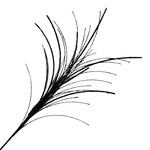 SPRAY FEATHER GRASS BLACK 26" GLITTER