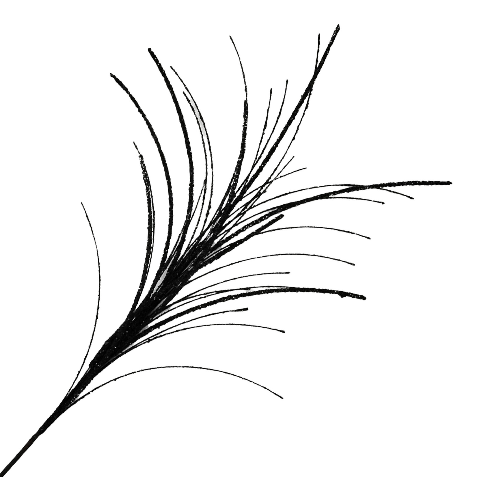 SPRAY FEATHER GRASS BLACK 26" GLITTER