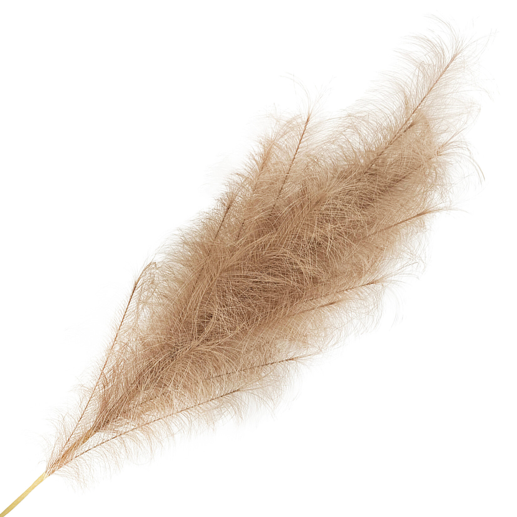 SPRAY PAMPAS GRASS LT.BROWN 43"