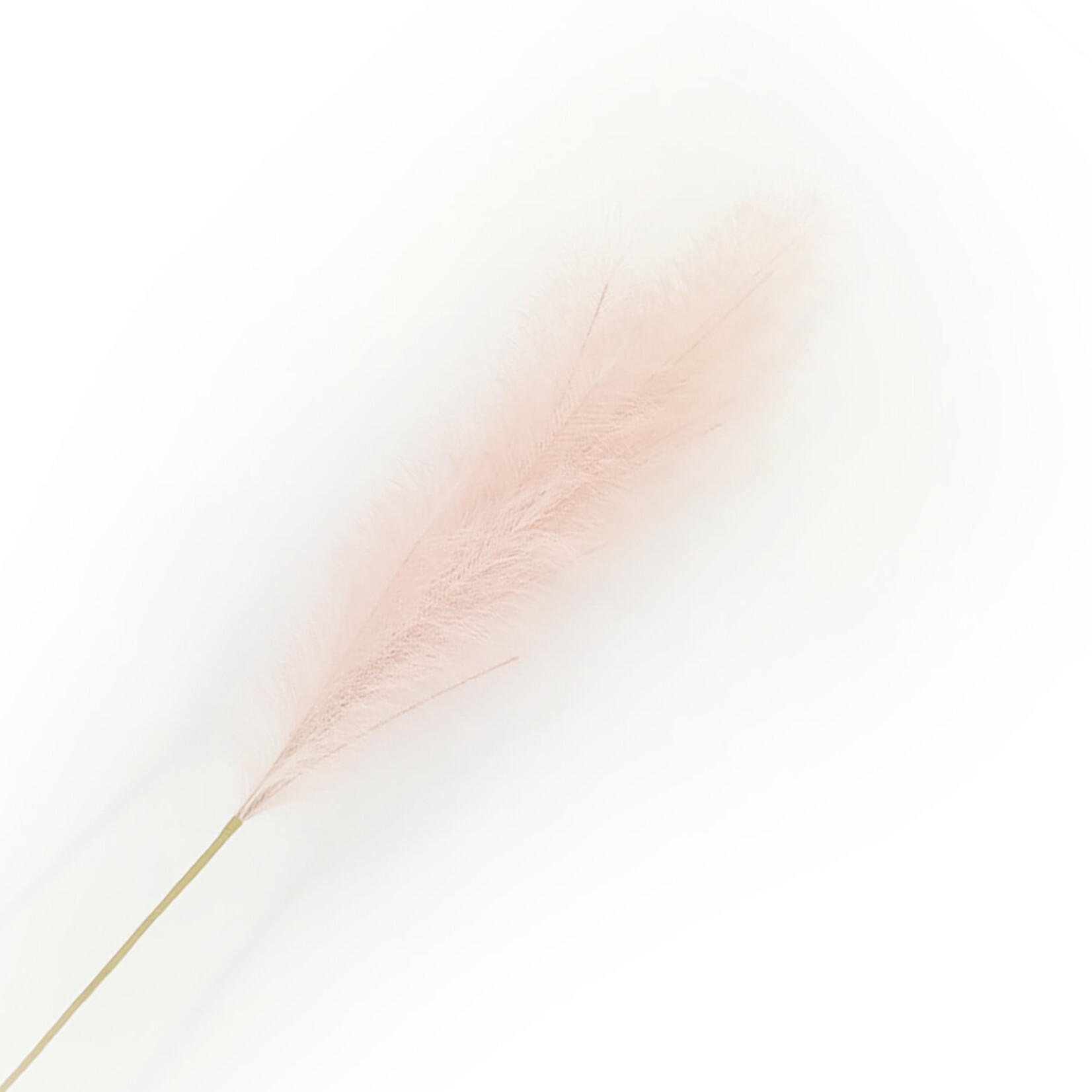 SPRAY PAMPAS GRASS 43" PINK