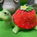 Strawberry turtle Fairy Garden