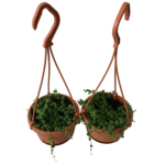 4" String of Pearls  HB