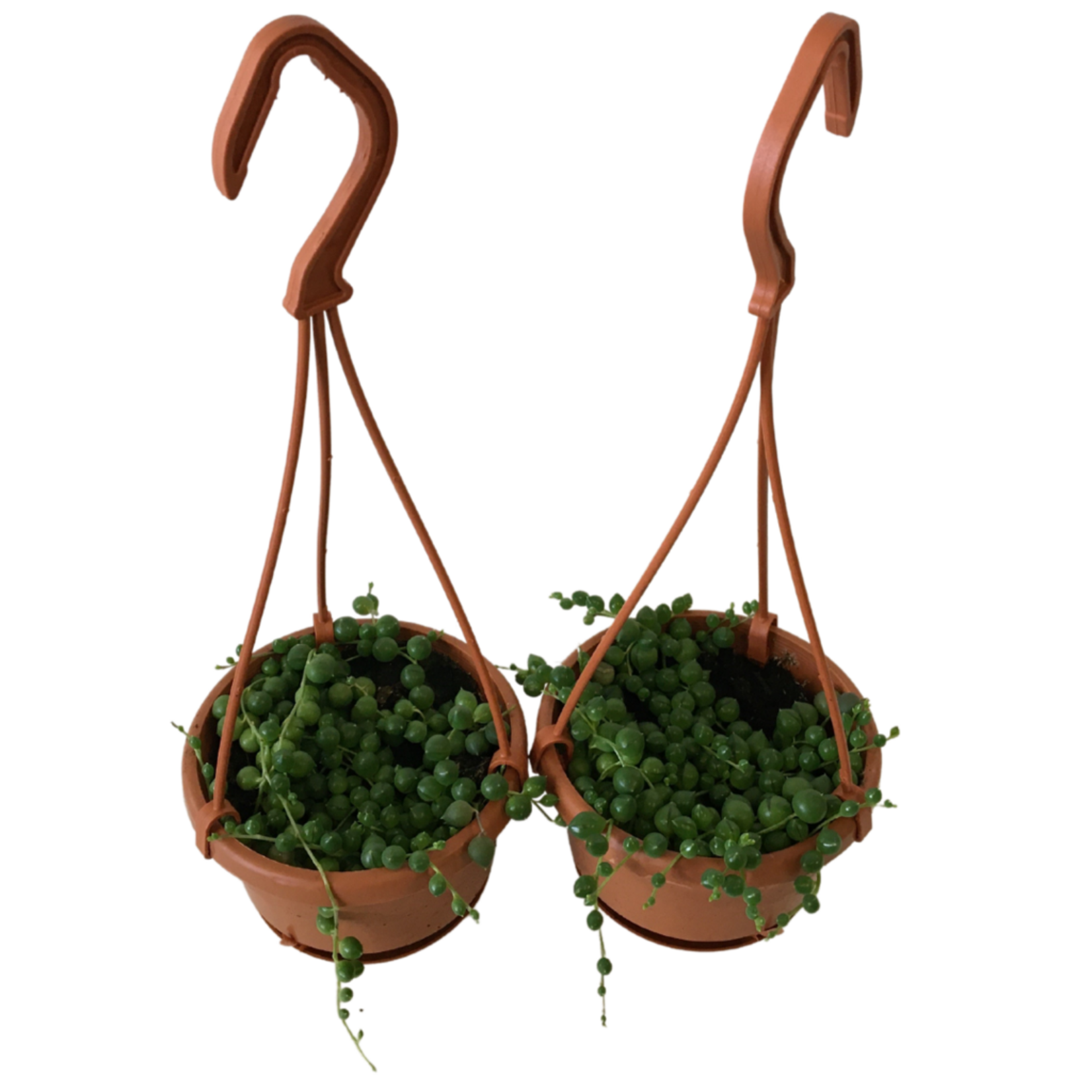 4" String of Pearls  HB