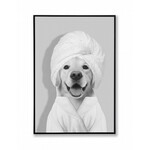 Dog in Towel Print