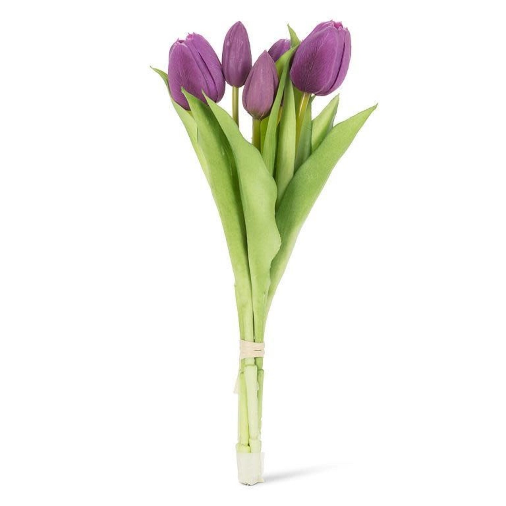 Purple 5 Stem Tulip Bunch