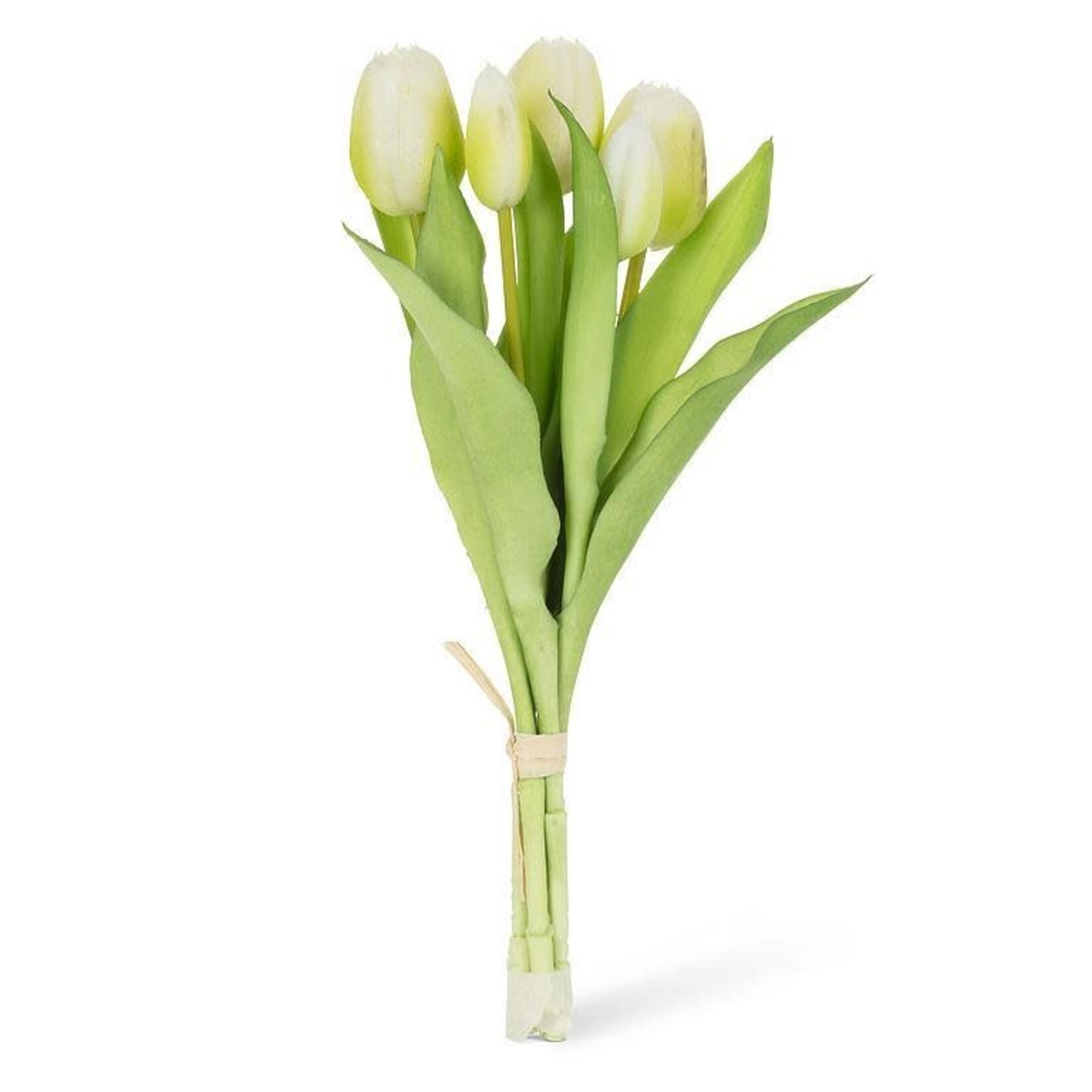 White 5 Stem Tulip Bunch
