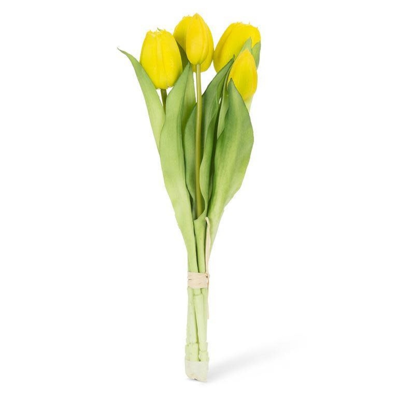 Yellow 5 Stem Tulip Bunch