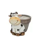 Silly Cow Flower Pot