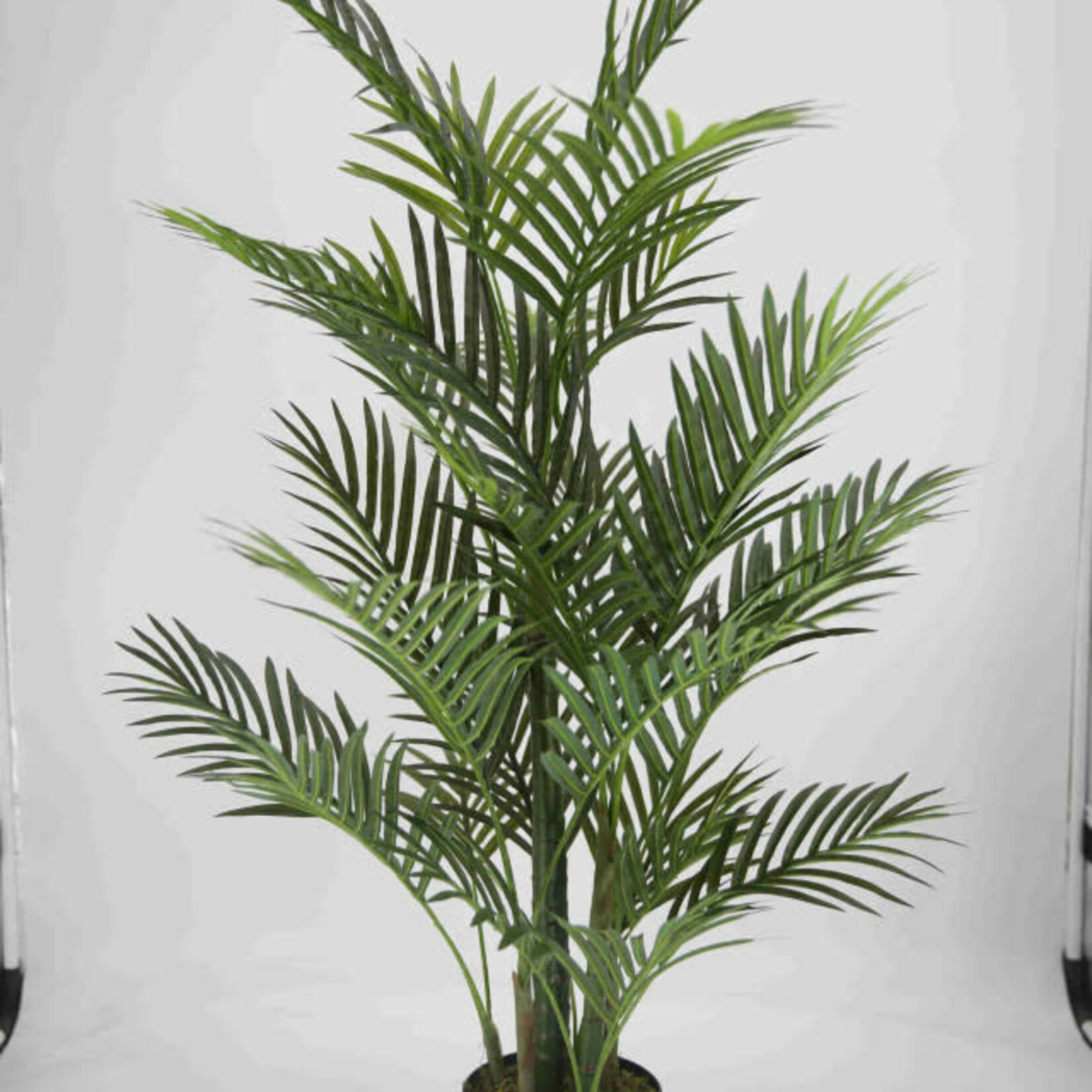 Everlasting Palm Tree  45" Tall
