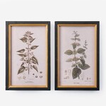 Framed Leaf Wall Print, 2 Asst.