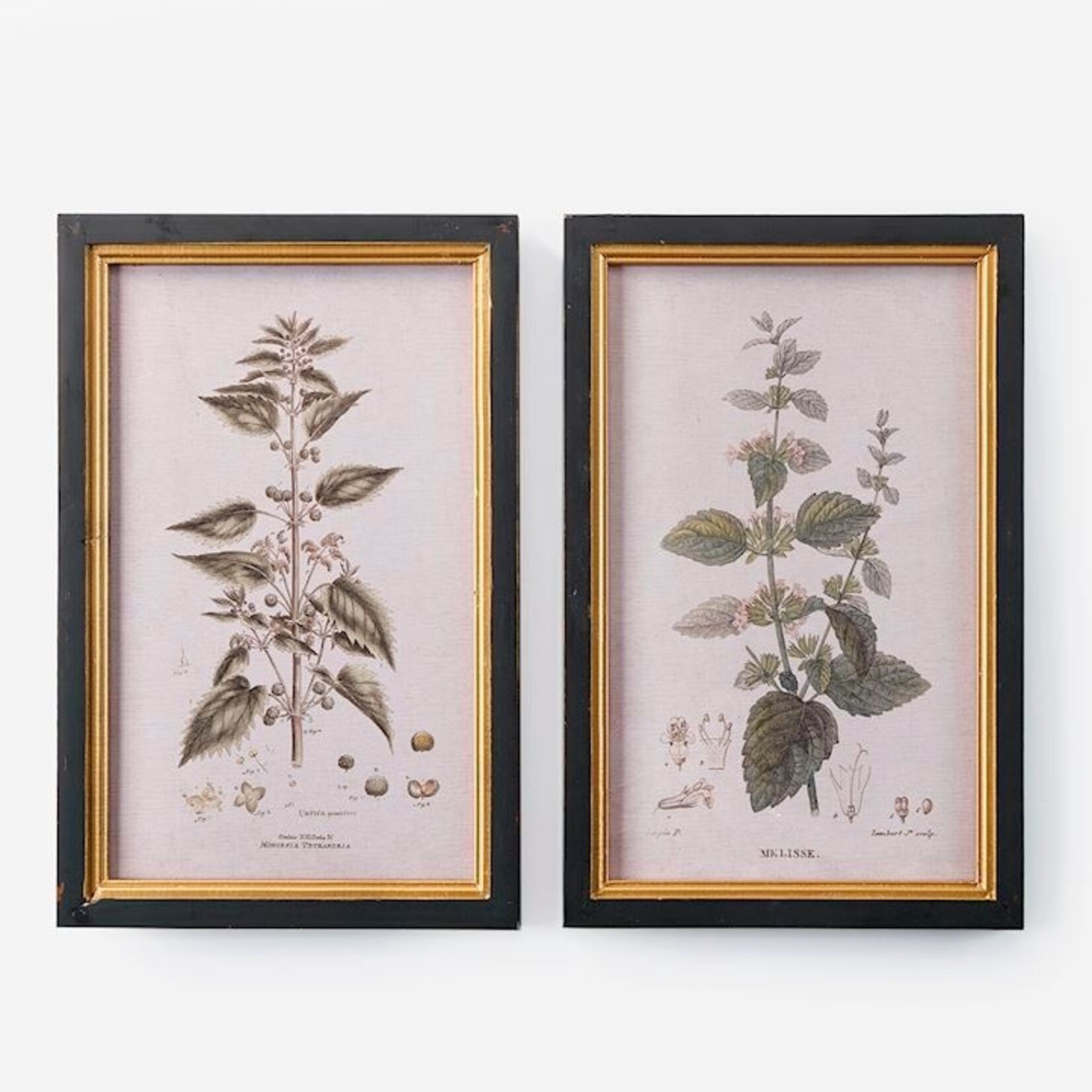 Framed Leaf Wall Print, 2 Asst.