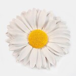 Daisy Stepping Stone/Wall Decor