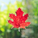 Maple Leaf 2 Sided Magnet-3"H