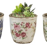 Cement Planters w/ Flowers - 3 Asst.