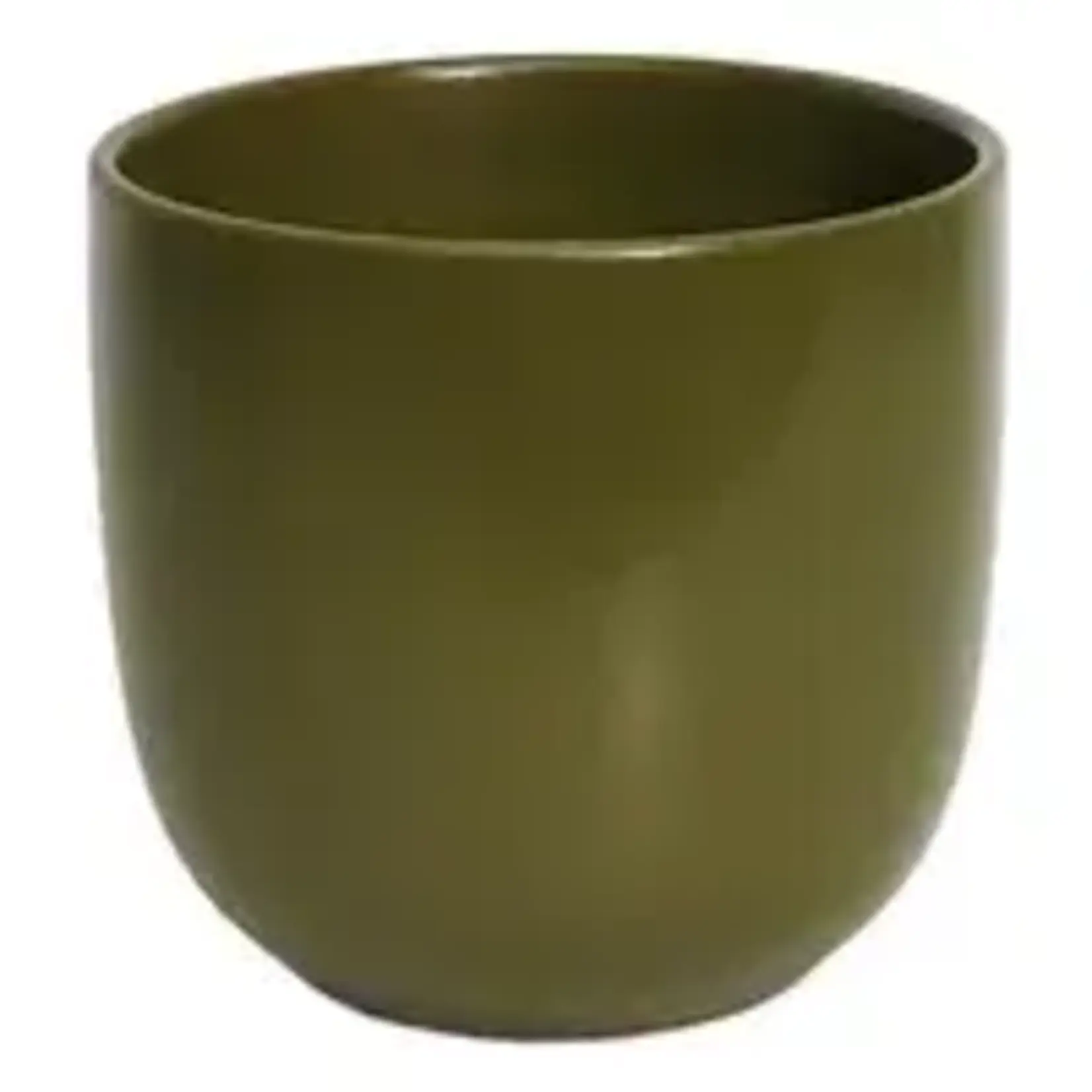 Matte Moss Green Ceramic Pot  7"